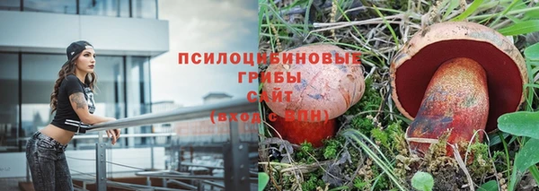 бутират Краснослободск